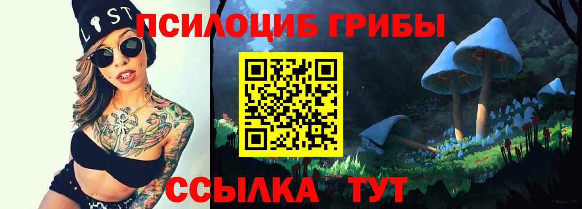Галлюциногенные грибы ЛСД Грозный